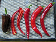Séchage piments