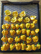 Séchage piments