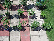 pots