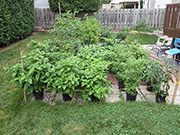 pots