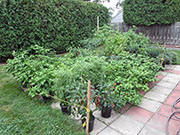pots