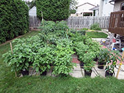 pots
