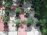 pots