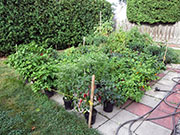 pots