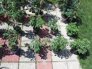 pots