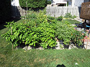 pots