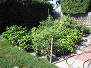 pots