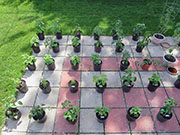 pots