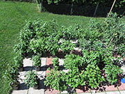 pots