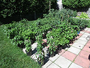 pots