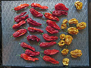 Séchage piments