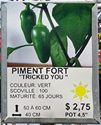 Plant