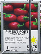 Plant
