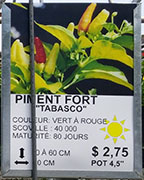 Plant