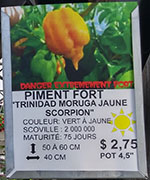 Liste bottom