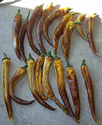 Moulus